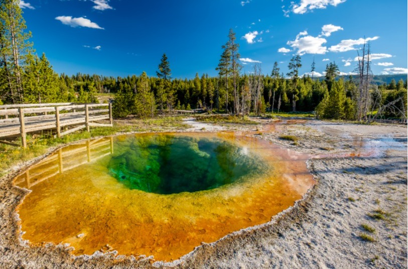 Hot Thermal Spring In Yellowstone