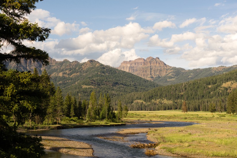 Lamer River Flows Through Valley Yellowstone