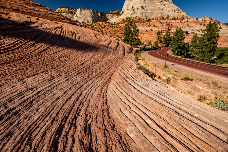 Landscape In Zion National Park, Utah