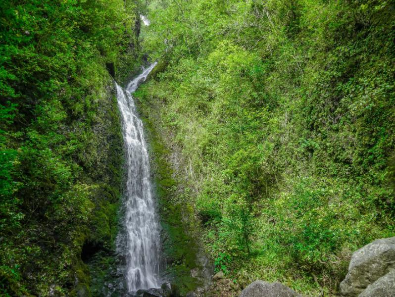 Lulumahu Falls Tropical Jungle Waterfall In Hawaii 84AU95F