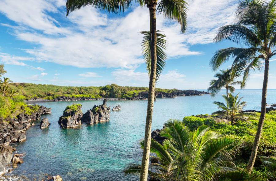 Maui eiland