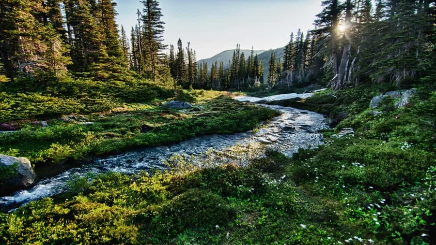 Olympic National Park USA