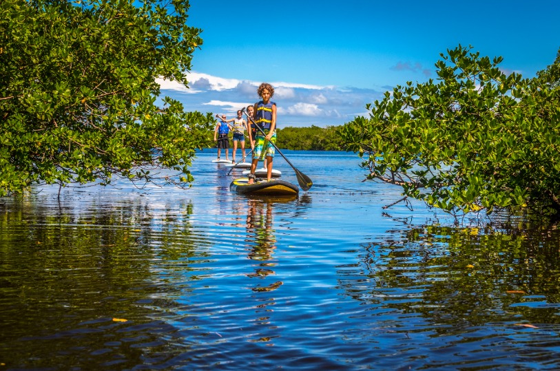 Paddle Board Sanibel Marina