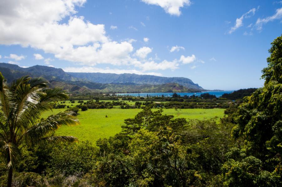 Scenic Landscape Kauai Hawaiii