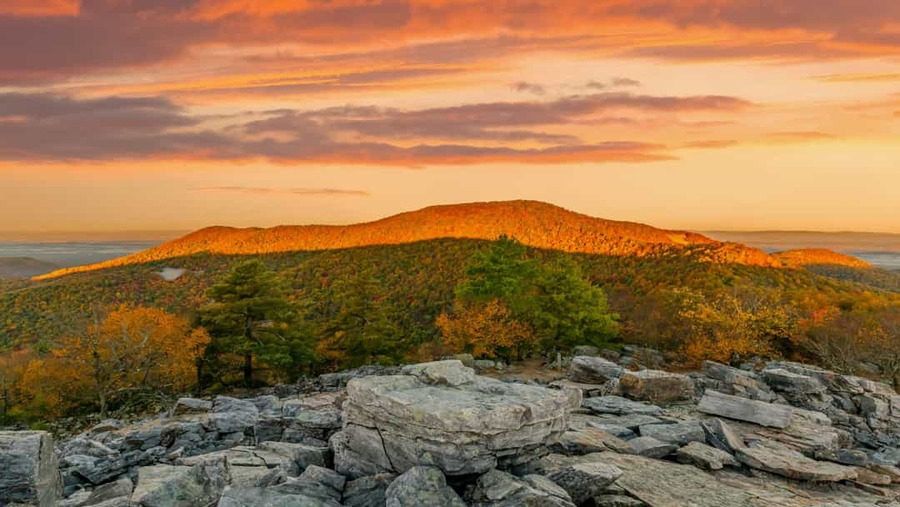 Shenendoah National Park USA