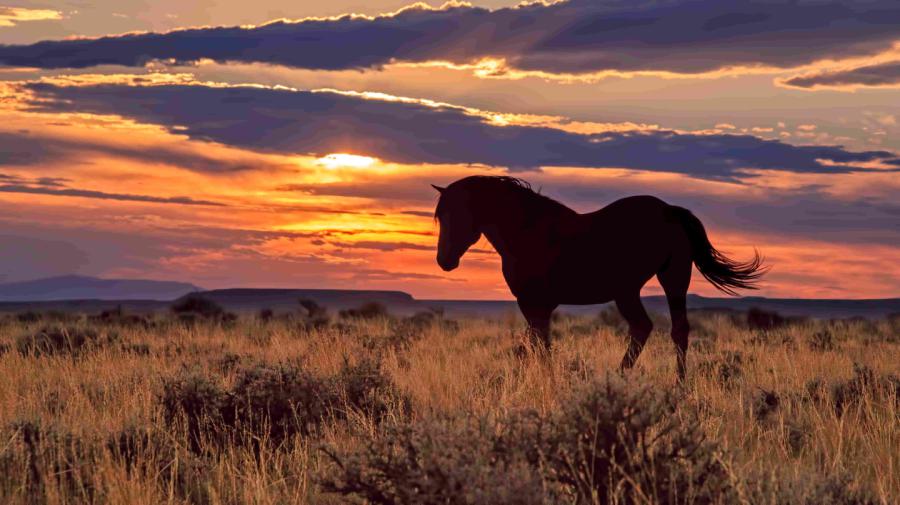 Natuur wyoming