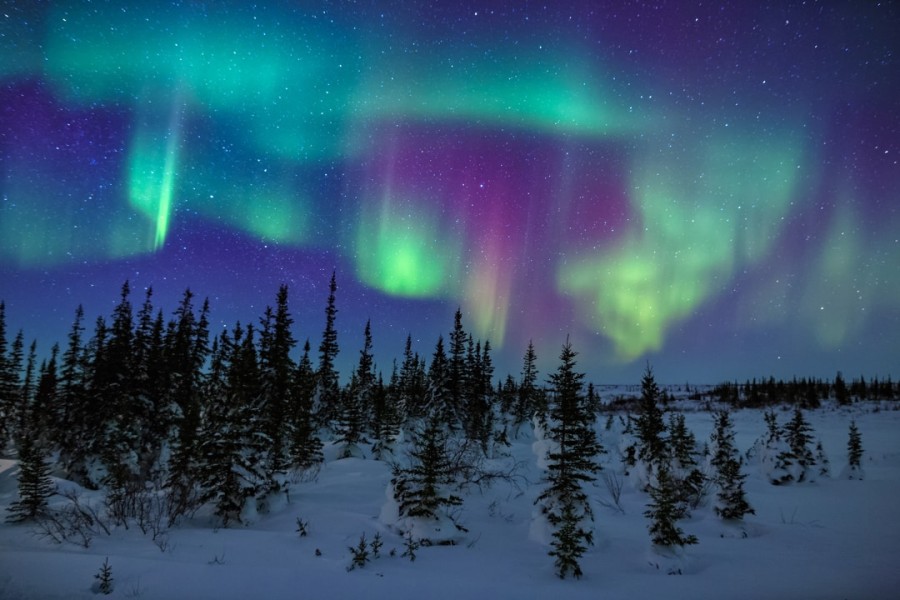 Aurora Borealis Churchill