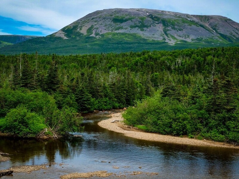 Shutterstock 1368519038