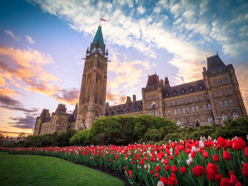 Uitzicht op het parlementsgebouw van Canada in Ottawa tijdens tulpenfestival