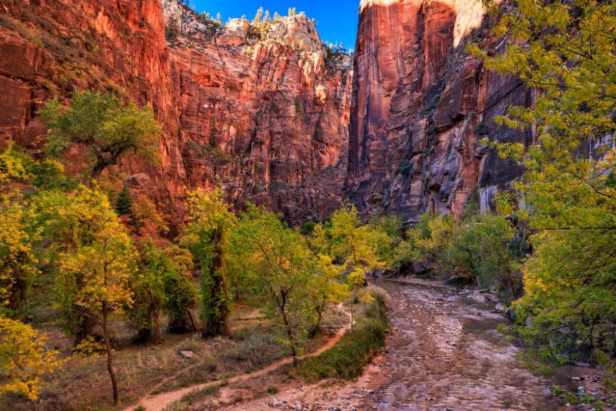 Een uitzicht langs de Riverside Walk aan de Virgin River in Zon National Park, Utah.