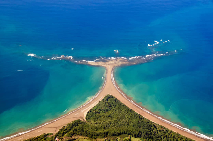 Walvisstaart, Marino Ballena National Park