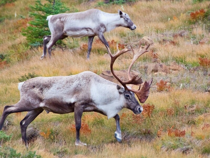 Shutterstock 2404062761