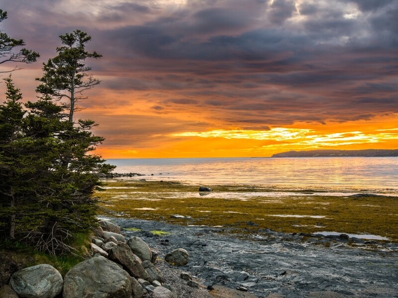 Shutterstock 2451562735