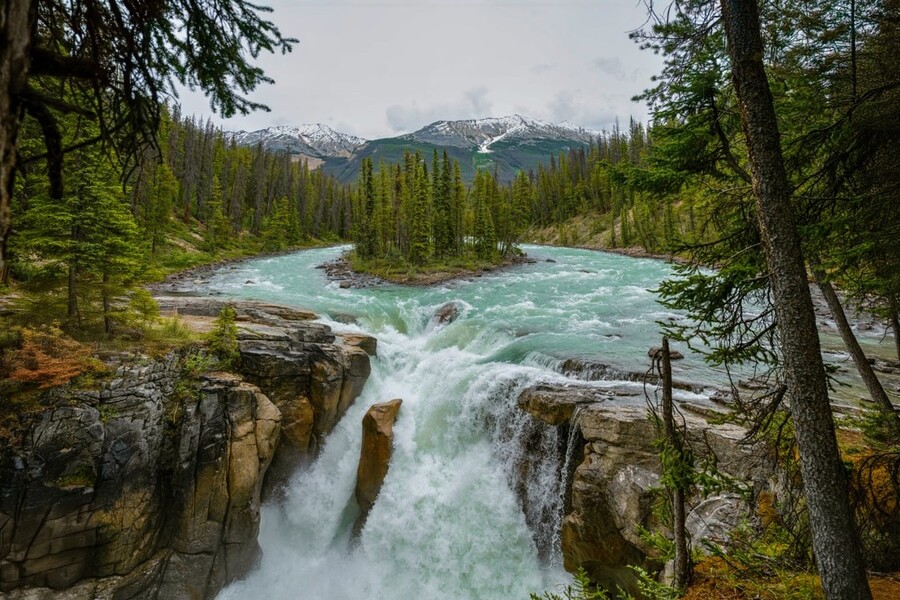 Sunwapta Falls in het Jasper National Park