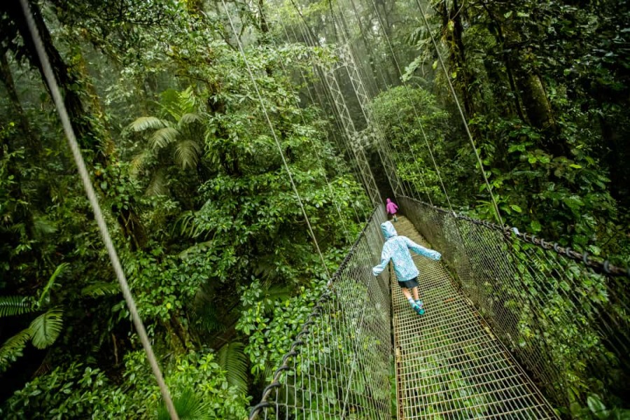 Kinderen tijdens een canopy-tour door het regenwoud in Costa Rica