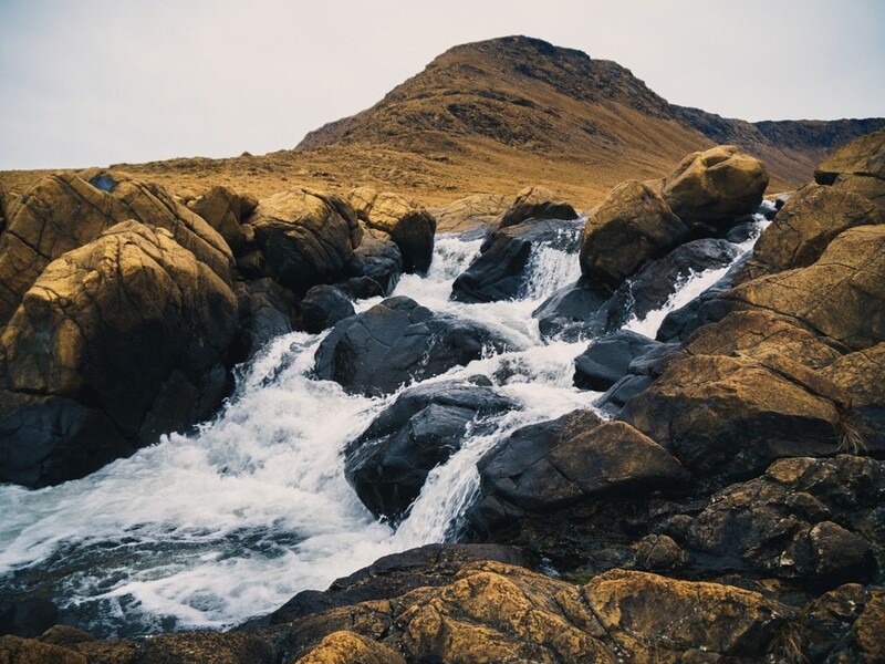 Shutterstock 771632056