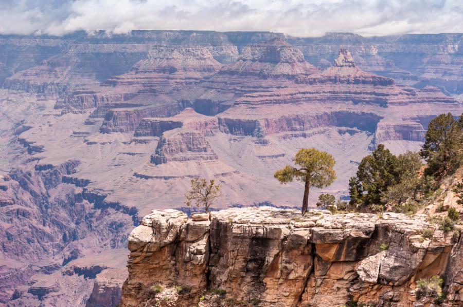 Sunny Day At Grand Canyon National Park South Rim