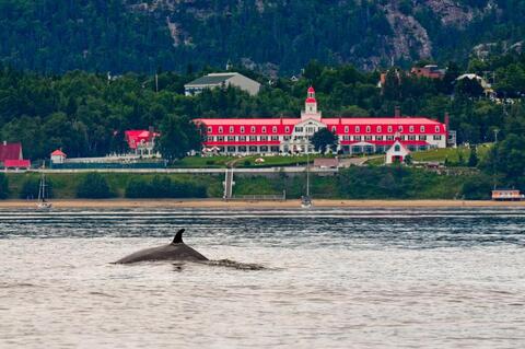Hôtel Tadoussac