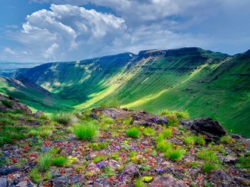 Steens Mountain Wilderness, Oregon