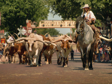 Fort Worth Stockyards Historic District