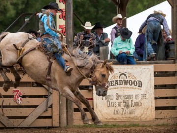 Deadwood Rodeo, South Dakota