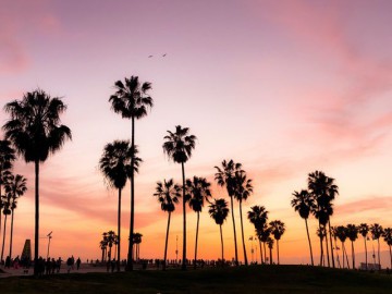 Venice Beach, Los Angeles