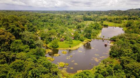 Boca Tapada regenwoud