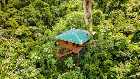 Treehouse Maquenque Lodge