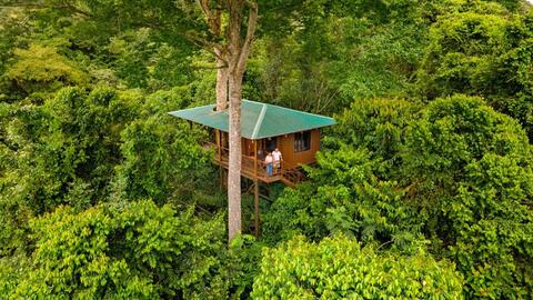 Treehouse Maquenque Lodge