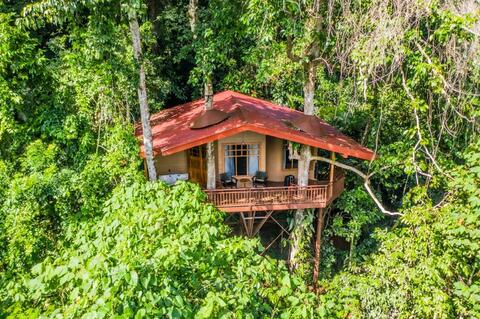 Treehouse bungalow Maquenque Lodge