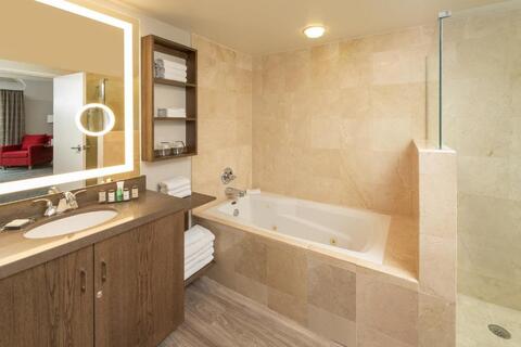 badkamer Sheraton Park City