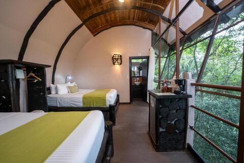 Treehouse Met 2 Queensize bedden Treehouse Met 2 Queensize bedden