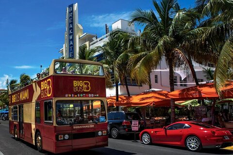 Hop on hop off bus Miami