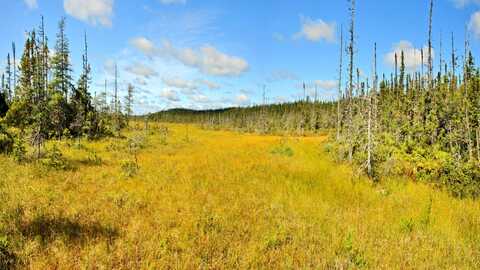 Afbeelding van Bossen Terra Nova