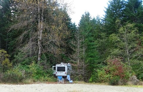 Buttle Lake Campground Site 14
