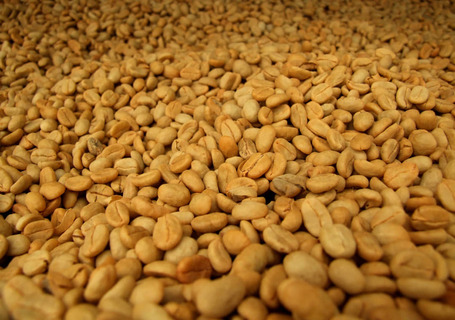 Coffee Beans