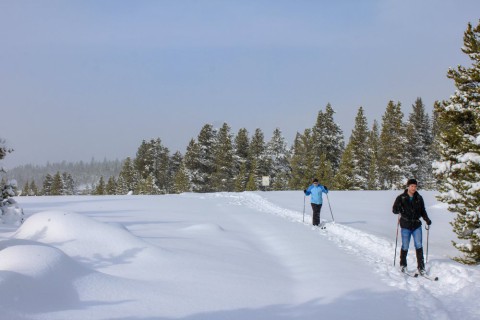Cross Country Skiing Yellowstone National Park