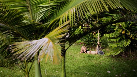Dominical