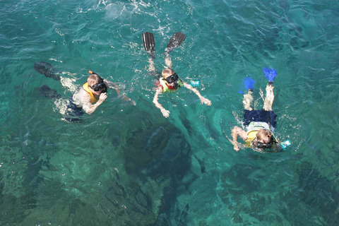 Family Snorkeling