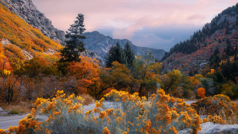 Herfst Landschap Van Mt Ogden