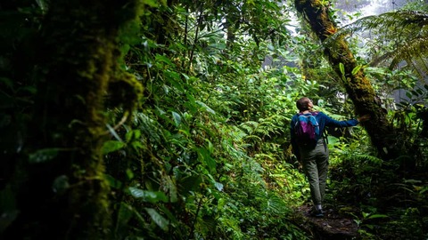 Hiken Monteverde