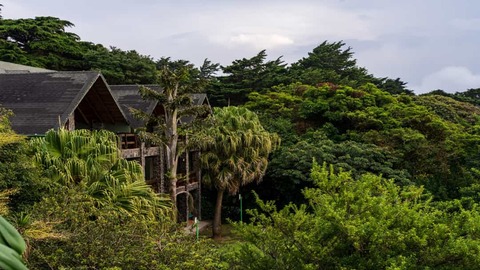 Houten Resorts Monteverde