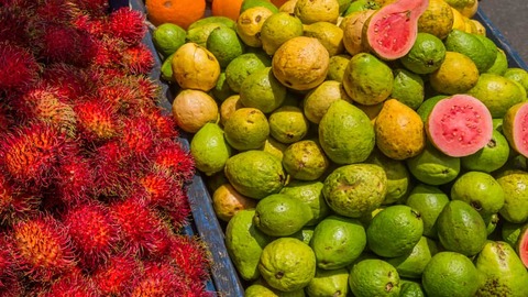 Jocote Fruitsoorten