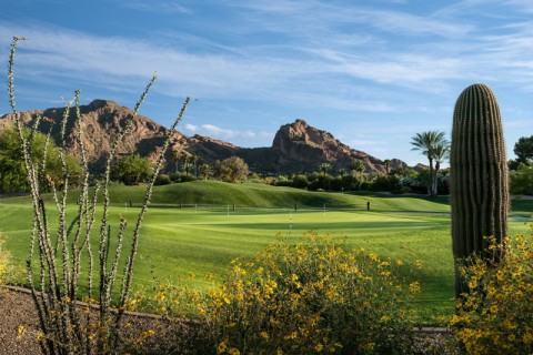 Mountain Shadows   The Short Course   Putting Green Large