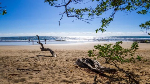 Playa Avellanas