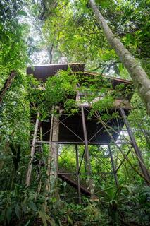 Tree House Met 1 Queensize Bed En 2 Aparte bedden Maquenque Lodge