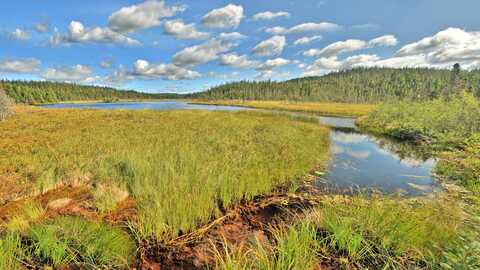 Uitzicht Op Water Terra Nova