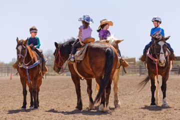 White Stallion Ranch  Tucson Credit White Stallion