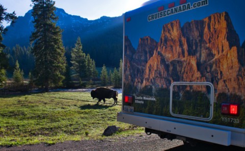 Yellowstone National Park, Colorado