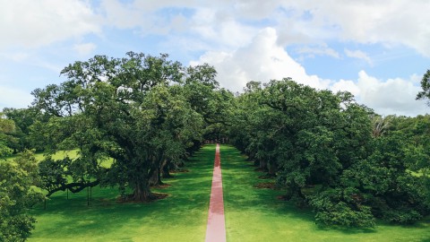 Areal View Of Oak Alley